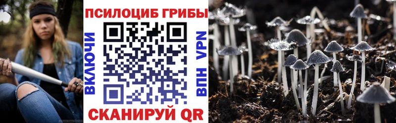 Купить где  Бикин  Псилоцибиновые грибы мухоморы 